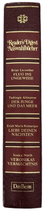 Flug ins Ungewisse / Der Junge und das Meer / Liebe Deinen Nächsten / Veronikas Vermächtnis - Bild 2