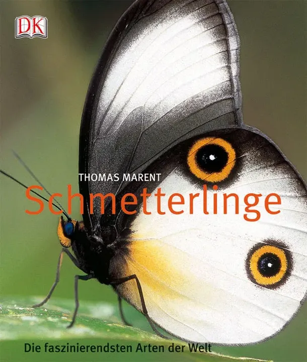 Schmetterlinge - Thomas Marent - Bild 1