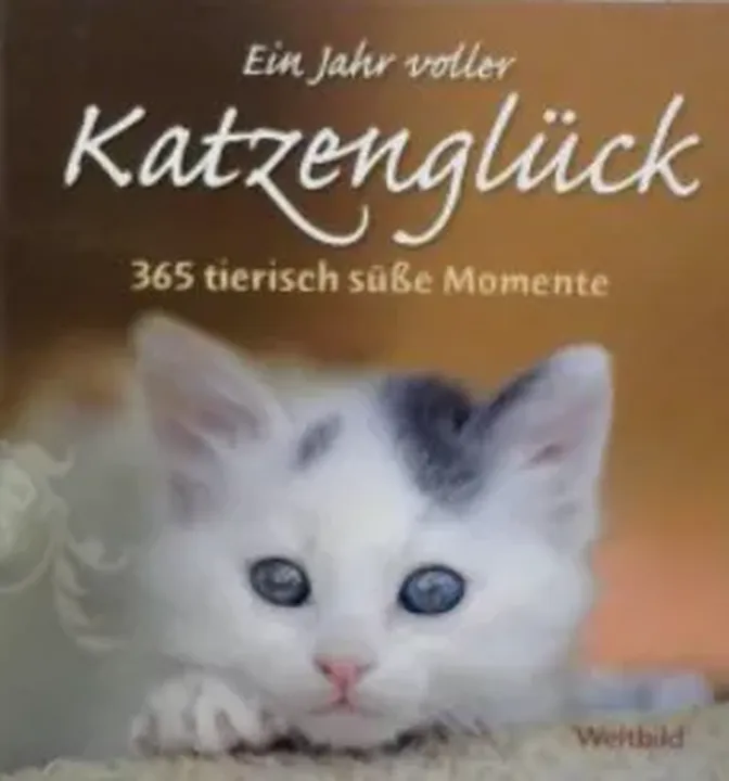 Ein Jahr voller Katzenglück - Bild 2