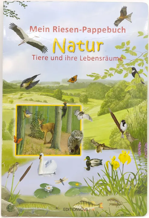 Mein Riesen-Pappebuch - Natur - Tiere und ihre Lebensräume  - Bild 1