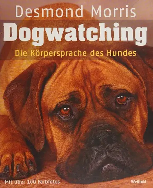 Dogwatching - Bild 1