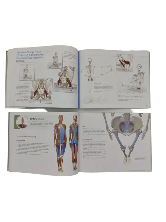 Ray Long - Yoga-Anatomie 3D - Band 1: Die wichtigsten Muskeln und