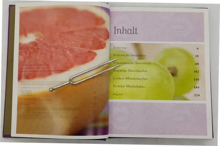 Buch Säfte & Shakes Unwiderstehliche Rezeptideen für fruchtig-frische Mixgetränke - Bild 3