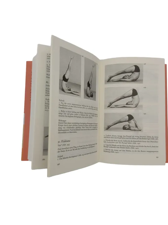B.K.S. Iyengar - Licht auf Yoga - Das grundlegende Lehrbuch des Hatha-Yoga - Bild 2