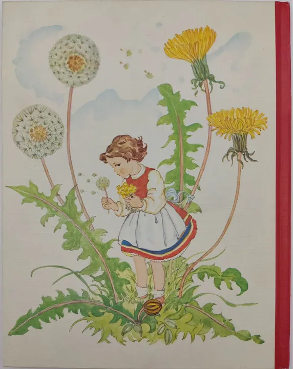 VINTAGE Buch - Sonnengoldene Pusteblumen - Bilderbuch - Rose Fischer-Rüger - Bild 2