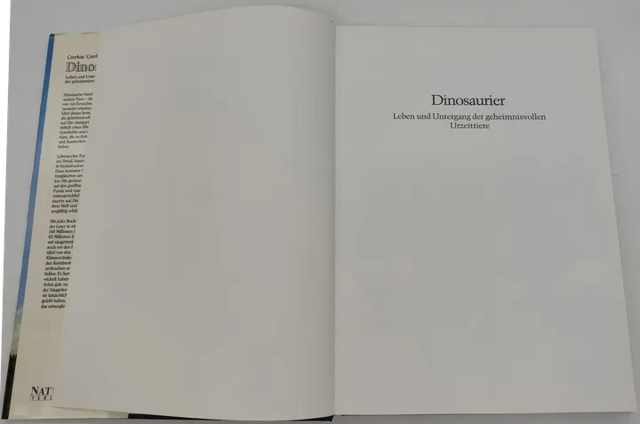 Buch Dinosaurier 