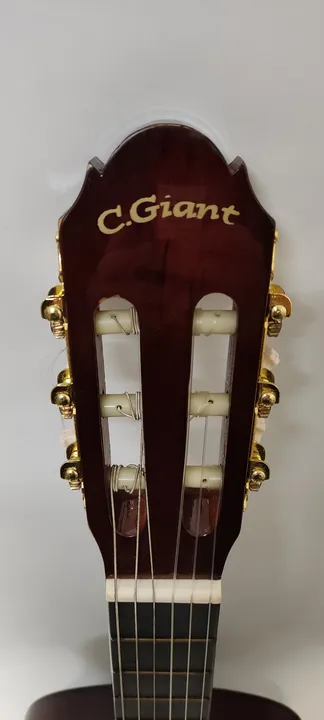 C. Giant Akustikgitarre in rotbraun - Bild 3