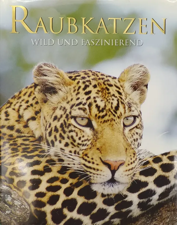 Raubkatzen wild und faszinierend - Mike Briggs - Bild 2