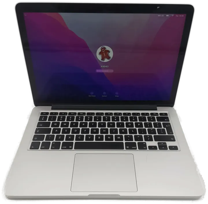 Apple MacBook Pro Early 2015 13,3