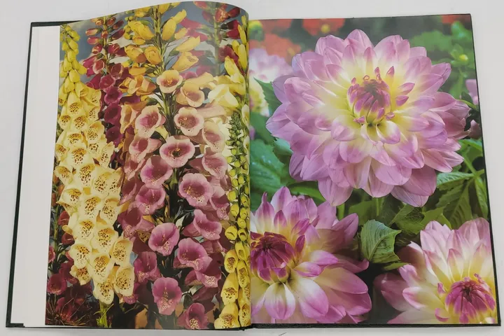 Buch Blumen und Pflanzen in Haus und Garten 3 Bände (ABE,DAH,DIO) von 1989 in Kunstleder - Bild 4