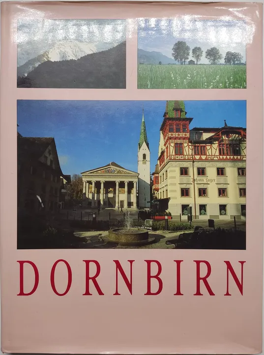 Dornbirn - Stadtbuch 1989 - Bild 1