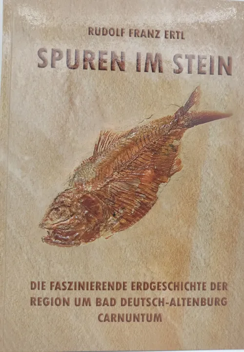 Spuren im Stein. Eine Zeitreise durch 300 Millionen Jahre Erdgeschichte unserer Heimat - Rudolf Franz Ertl - Bild 2