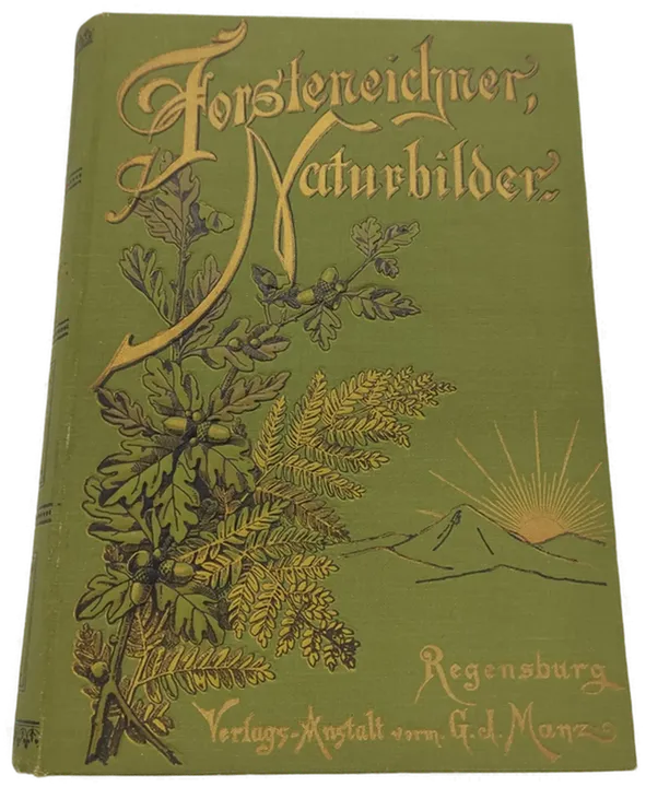 Altes Buch Forsteneichner Naturbilder - Bild 1