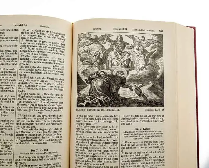 Goldrandbibel mit 223 Abbildungen von Julius Schnorr von Carolsfeld Fassung von 1912 - Bild 6