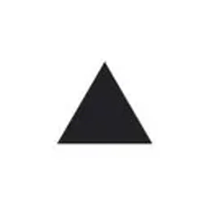 The Triangle - Bruno Munari - Bild 1