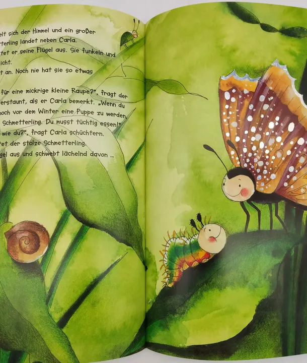 Die kleine Raupe die kein Schmetterling werden wollte - Judith Steinbacher, Antonia Nork  - Bild 3