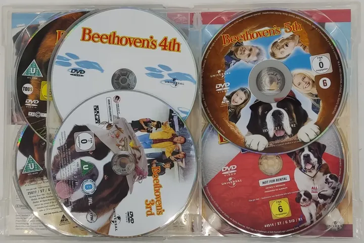 DVD 