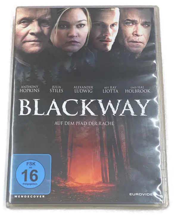 Blackway - Auf dem Pfad der Rache - Thriller - DVD - Bild 1