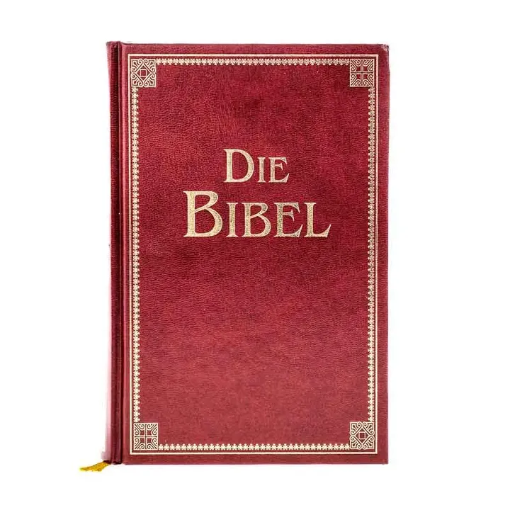 Goldrandbibel mit 223 Abbildungen von Julius Schnorr von Carolsfeld Fassung von 1912 - Bild 2