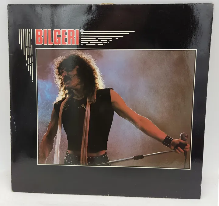 Langspielplatte - Bilgeri - Bilgeri - Bild 1
