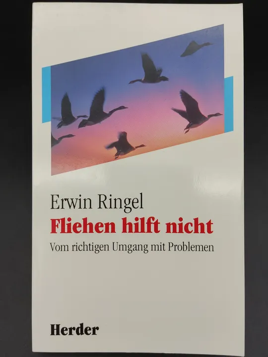 Fliehen hilft nicht - Erwin Ringel - Bild 1