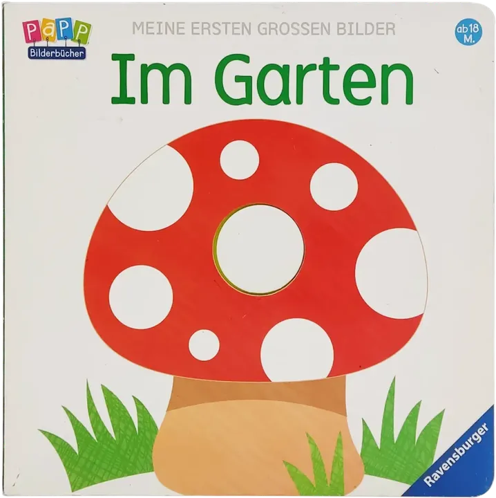 Buch 