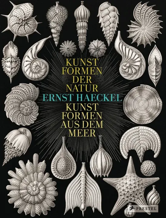 Kunstformen der Natur, Kunstformen aus dem Meer - Ernst Haeckel - Bild 1