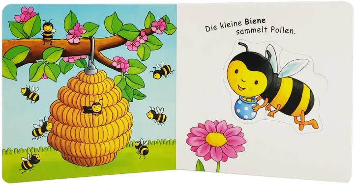 Buch 