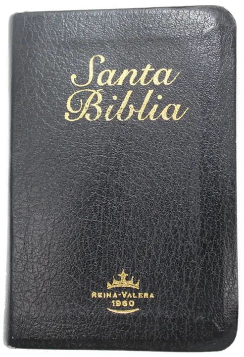 Buch 