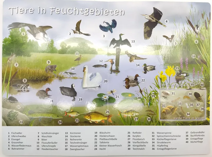 Mein Riesen-Pappebuch - Natur - Tiere und ihre Lebensräume  - Bild 2