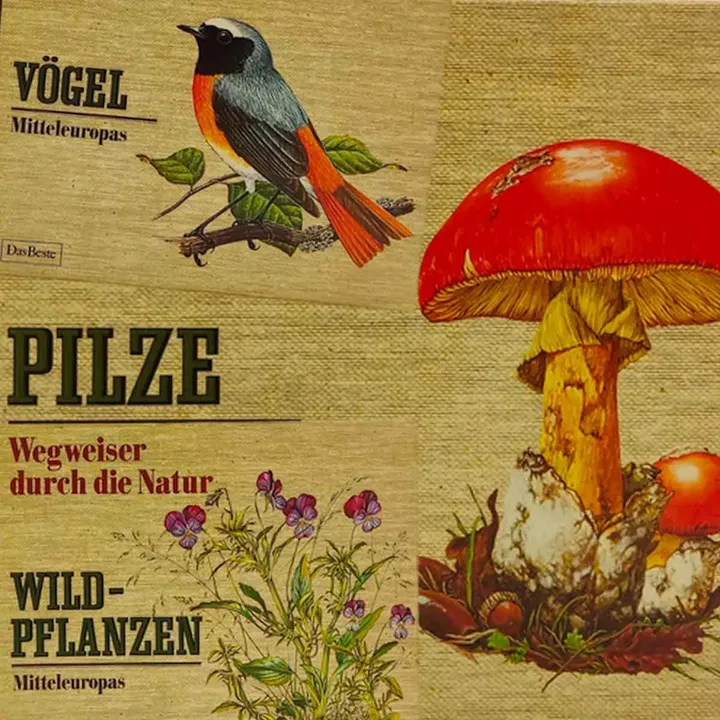 Wegweiser durch die Natur in 3 Bänden: Pilze, Vögel, Wildpflanzen - Bild 2