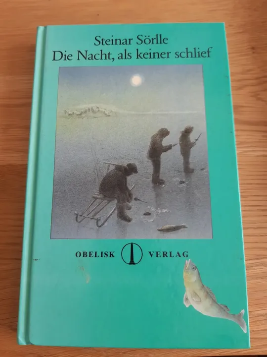 Die Nacht, als keiner schlief - Steinar Sörlle - Bild 1