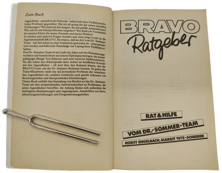 Buch Bravo Ratgeber -Rat & Hilfe von Dr.-Sommer - Bild 3