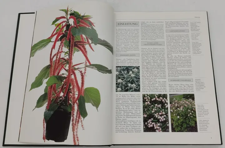 Buch Blumen und Pflanzen in Haus und Garten 3 Bände (ABE,DAH,DIO) von 1989 in Kunstleder - Bild 5