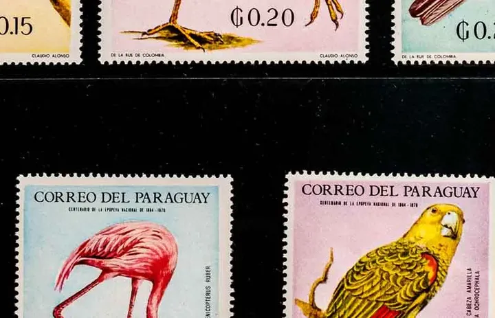 Briefmarken Vögel Paraguay 1969 - 7 Stück postfrisch - Bild 2