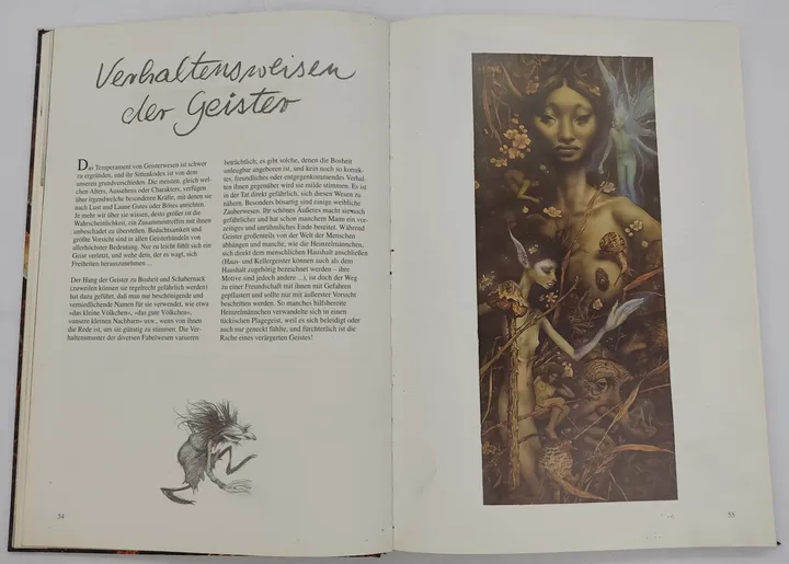 Buch Elfen, Goblins und Spukgestalten von Brian Froud und Alan Lee - Bild 4