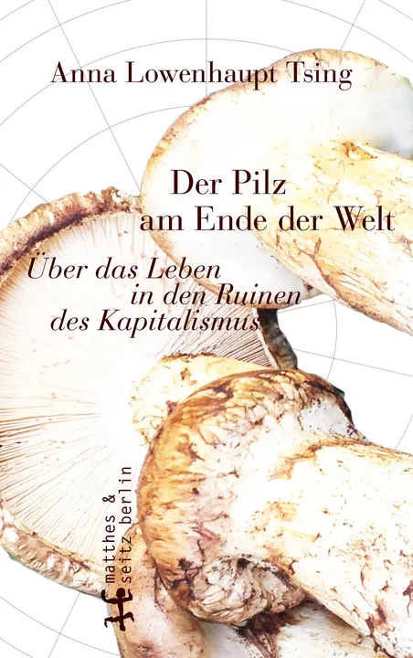 Der Pilz am Ende der Welt - Anna Lowenhaupt Tsing - Bild 1