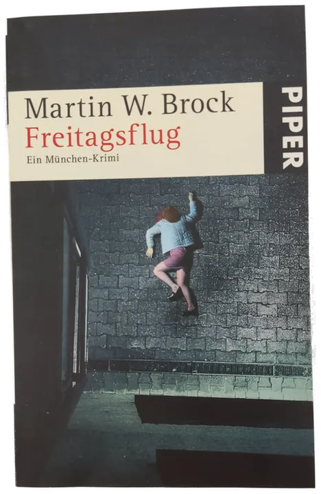 Freitagsflug - Martin W Brock - Bild 1