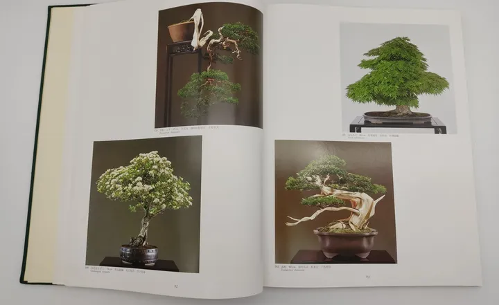 The International Bonsai und Suiseki Exhibition - Nippon Bonsai Association  - Bild 6