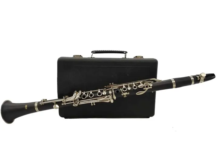 Musik Instrument Dixon Klarinette mit Rico Royal C5 Mundstück - Bild 1