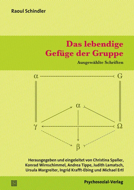 Das lebendige Gefüge der Gruppe - Raoul Schindler - Bild 1
