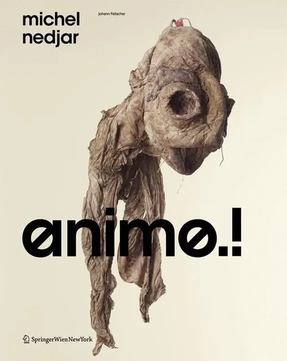 animo - Michel Nedjar - Bild 1