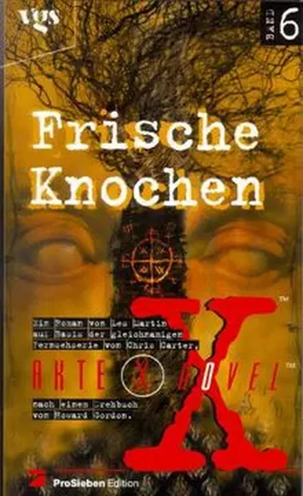 Akte X novels - die unheimlichen Fälle des FBI - Howard Gordon - Bild 1