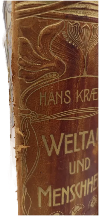 Weltall und Menschheit, Hans Kraemer großzügige Jugendstil-Halblederbände mit floraler Prägung, Goldschrift u. jeweils Metallplakette auf dem Vorderdeckel - Bild 2