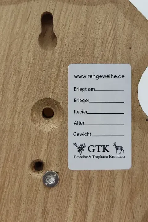 Deko - Rehgeweih Krickerl - Bild 3