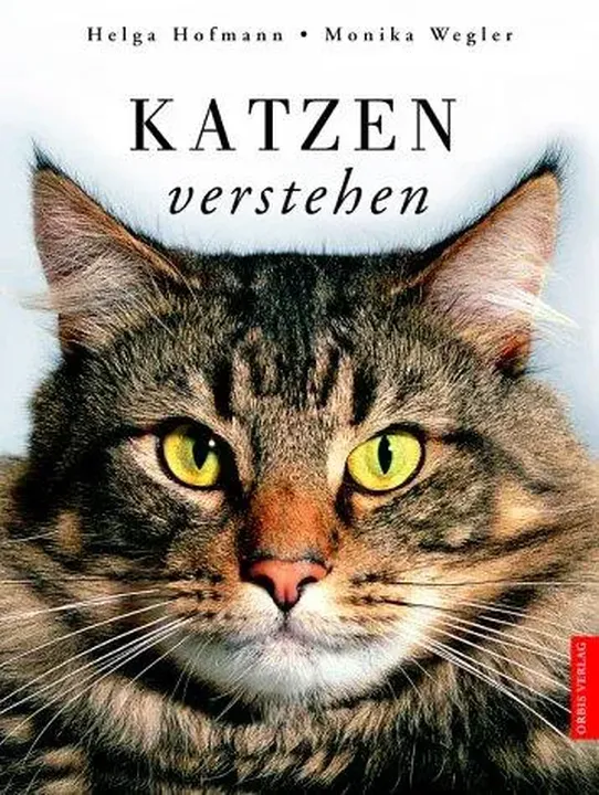 Katzen verstehen - Bild 1