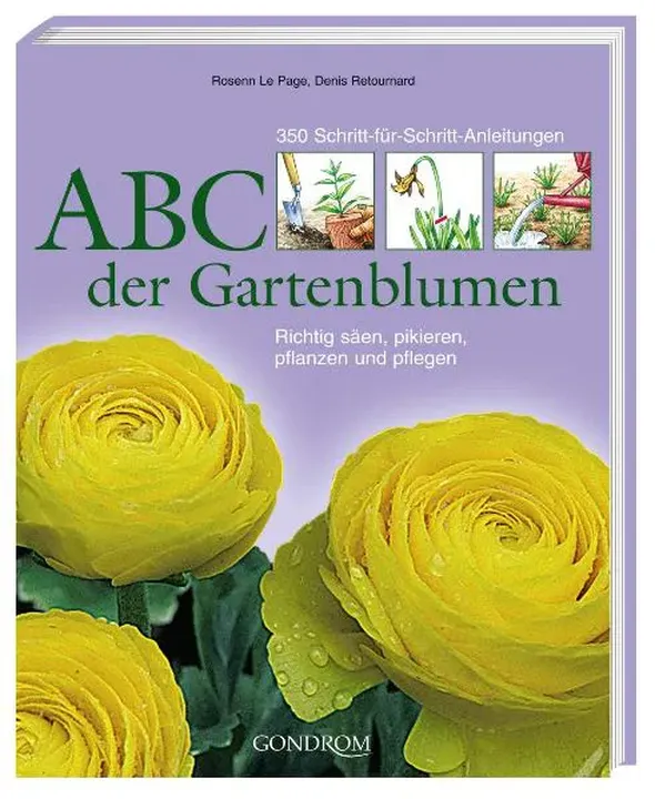 ABC der Gartenblumen - Bild 1