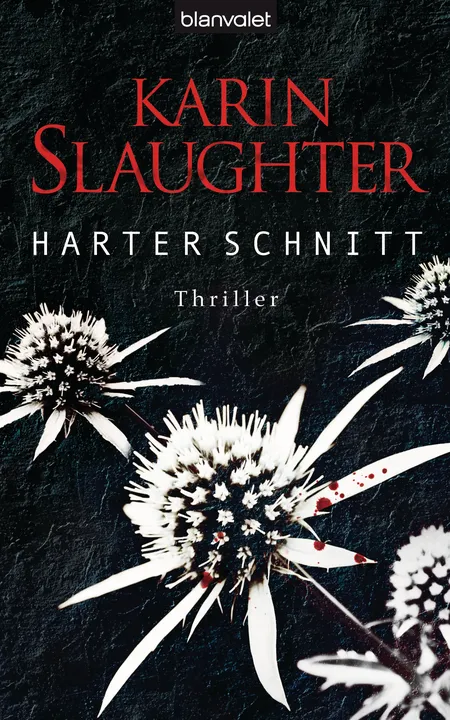 Harter Schnitt - Karin Slaughter - Bild 1