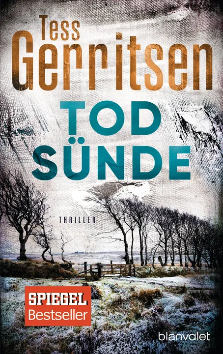 Todsünde - Tess Gerritsen - Bild 1