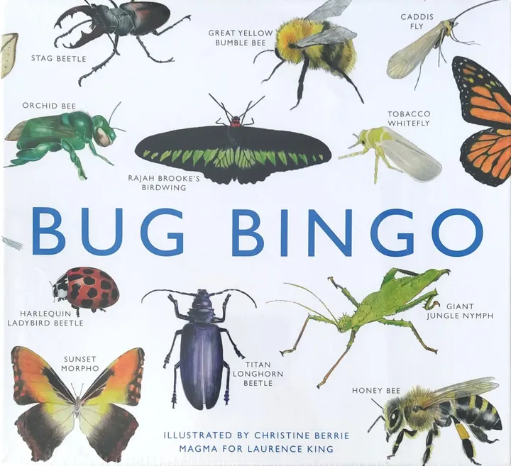 Bug Bingo - Gesellschaftsspiel - Bild 4
